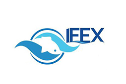 IFEX